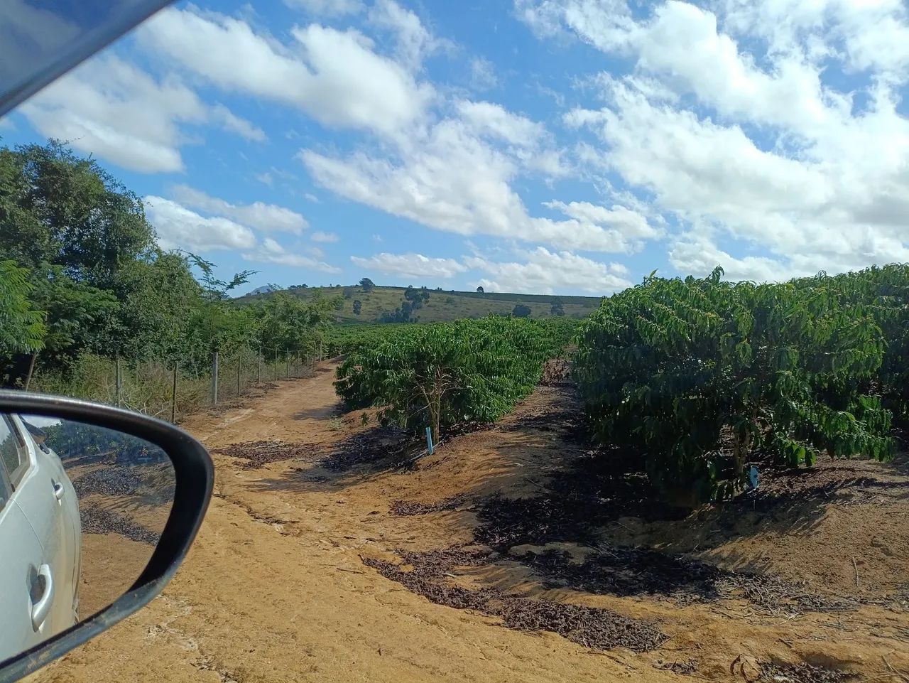 Sítio em Nova Venécia  - Foto 3
