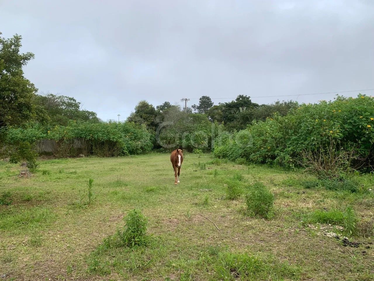 Terreno de 2.000m² no Moçambique - Foto 5