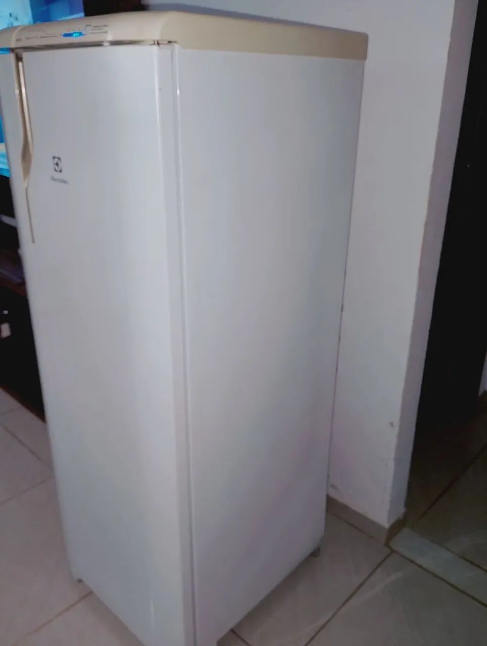Vendo geladeira Eletrolux  - Foto 3