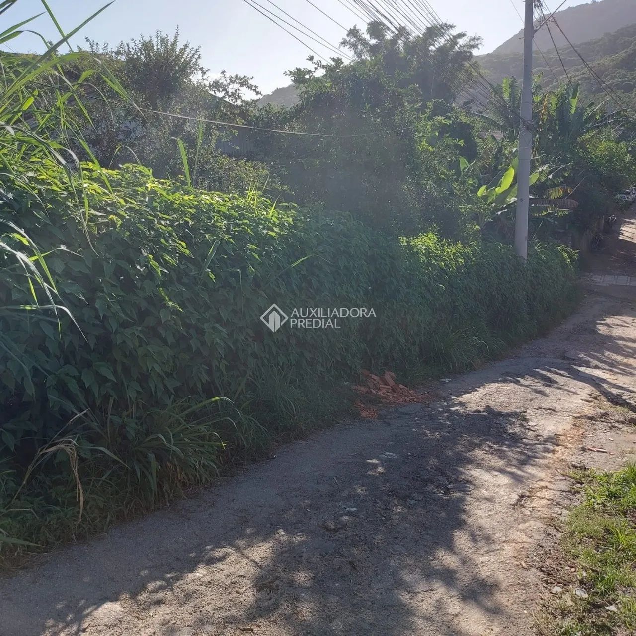 Terreno à venda em Rio Tavares - Foto 5