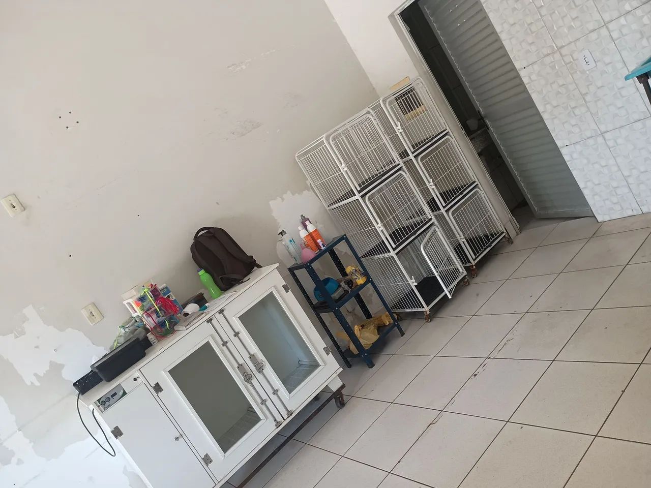 Vendo um banho e tosa completo  - Foto 2