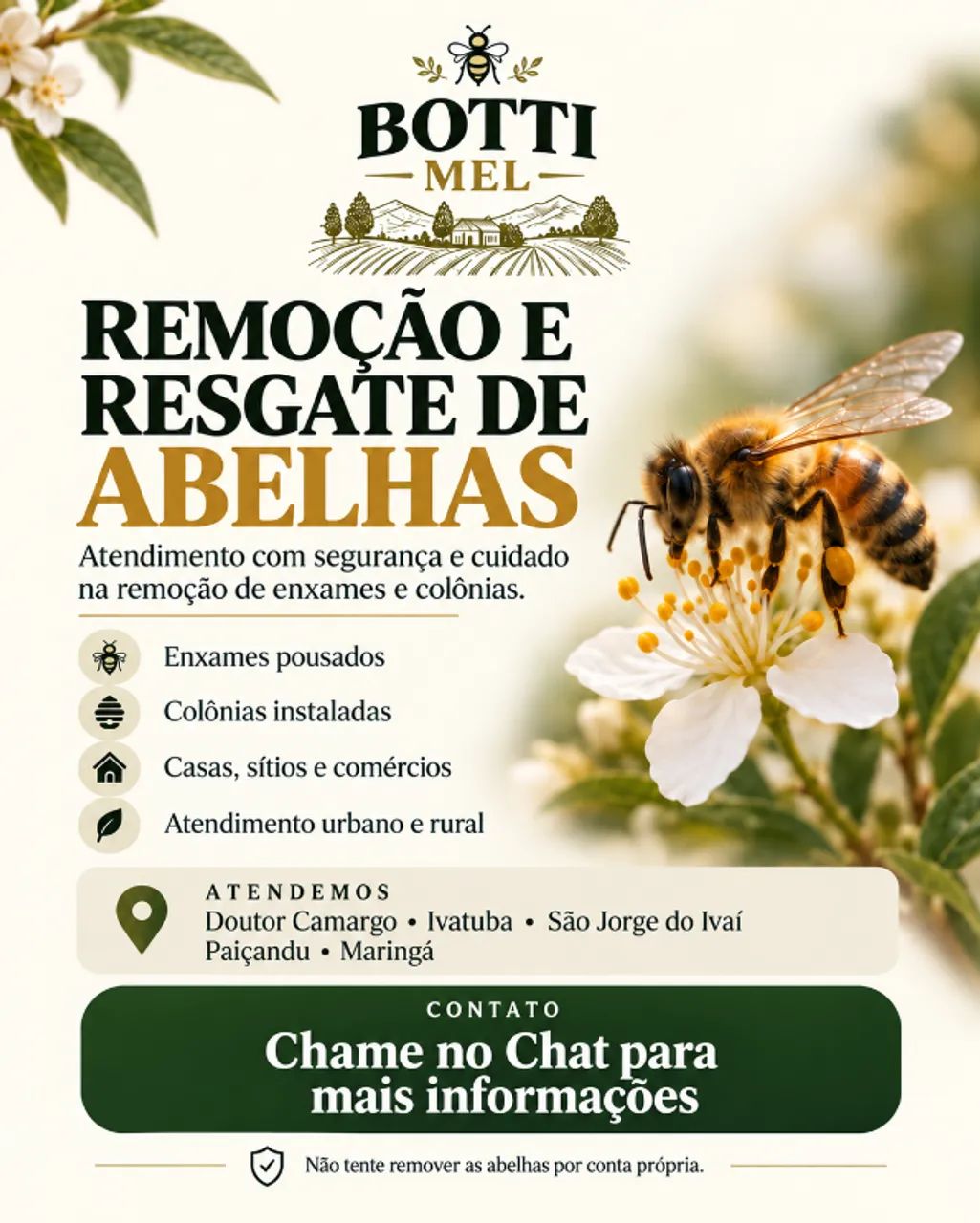 Remoção e Resgate de Abelhas | Paiçandu e Região
