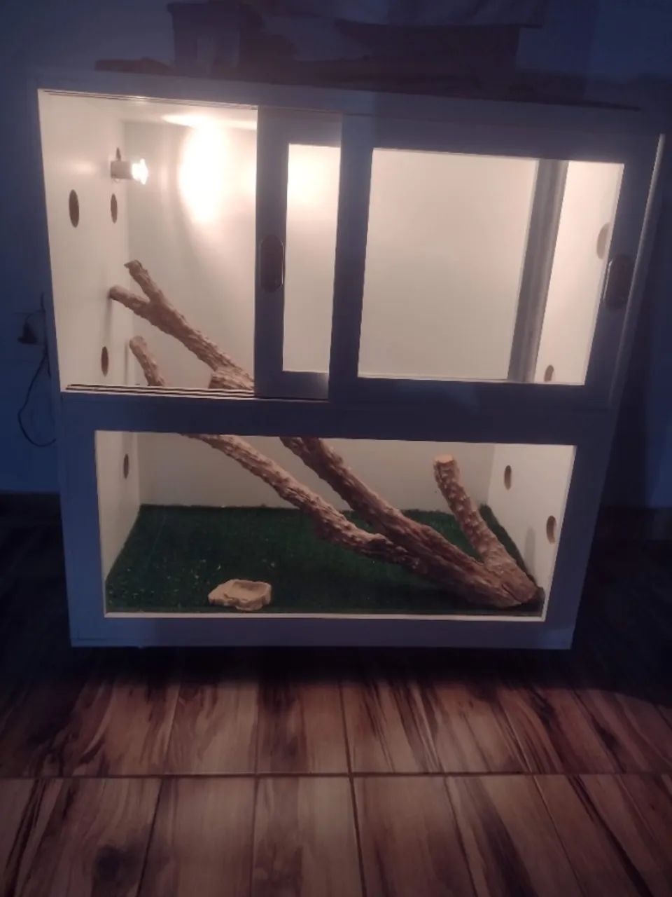 Terrário 