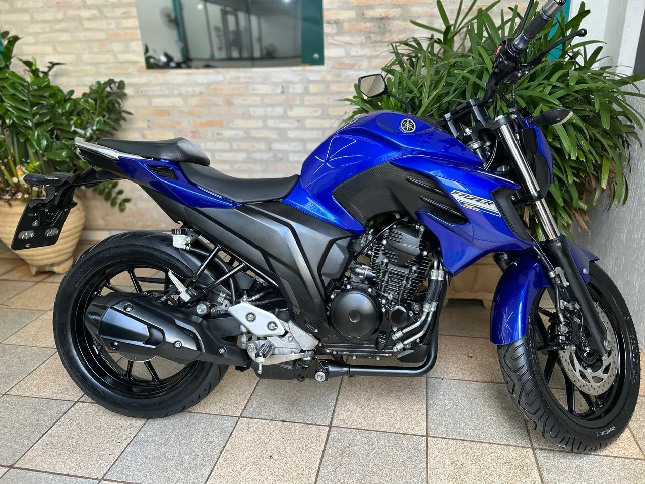 Fz25