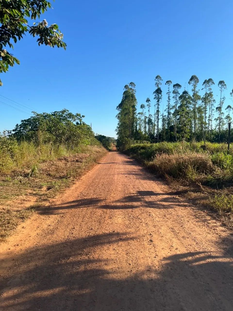 Venda de Chácara Espetacular Próximo à Cidade! - Foto 5