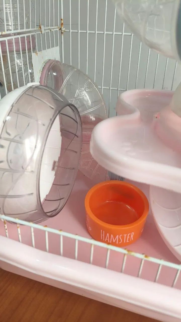 GAIOLA PARA HAMSTER E ROEDORES (CONSERVADA E COM VARIOS BRINQUEDOS) - Foto 2