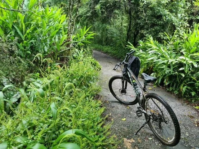 Bicicleta Kode 29 - Foto 5