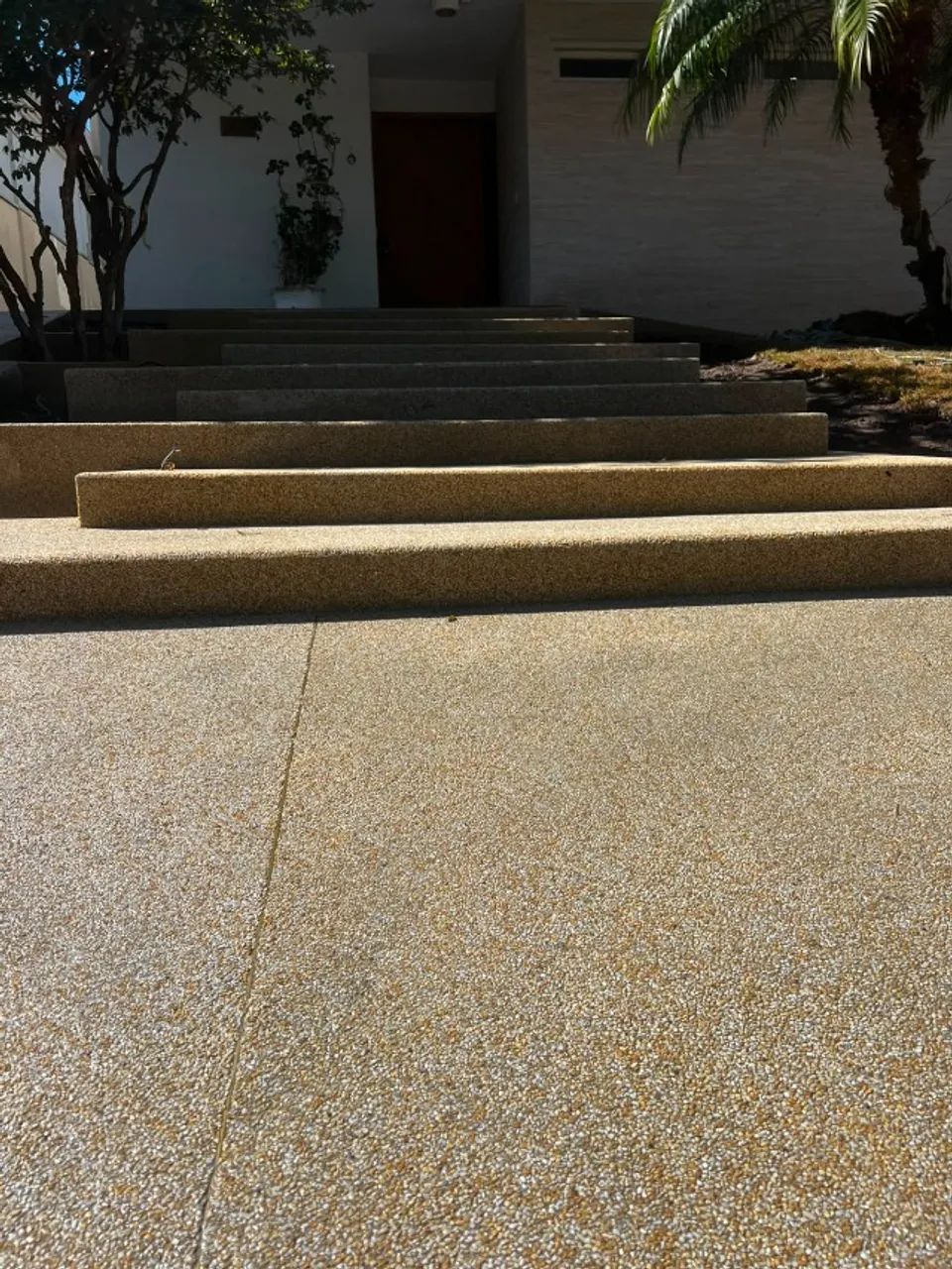 Piso fulget