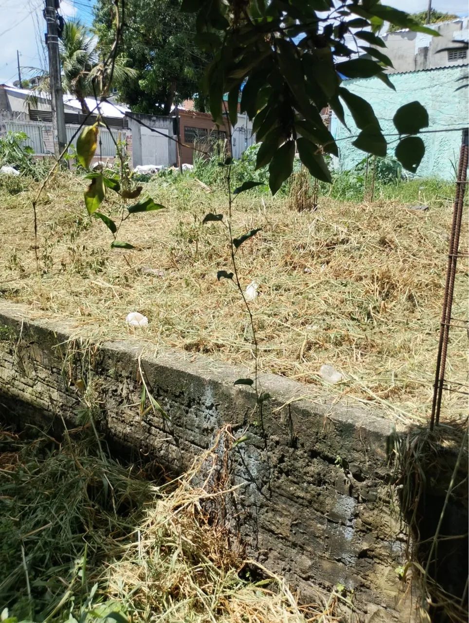 Vendo térreo medindo 8 X 26  - Foto 4