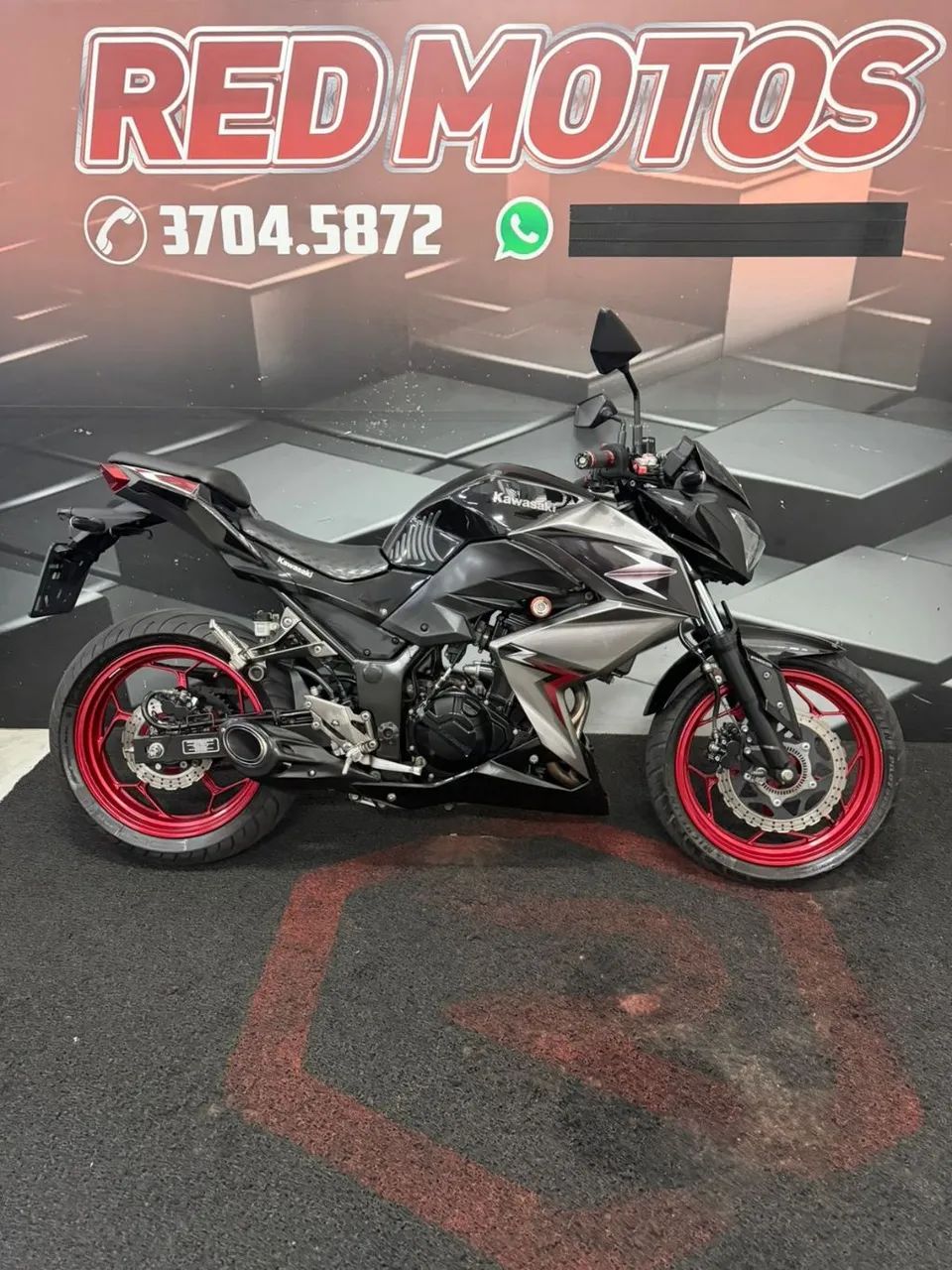Z 300