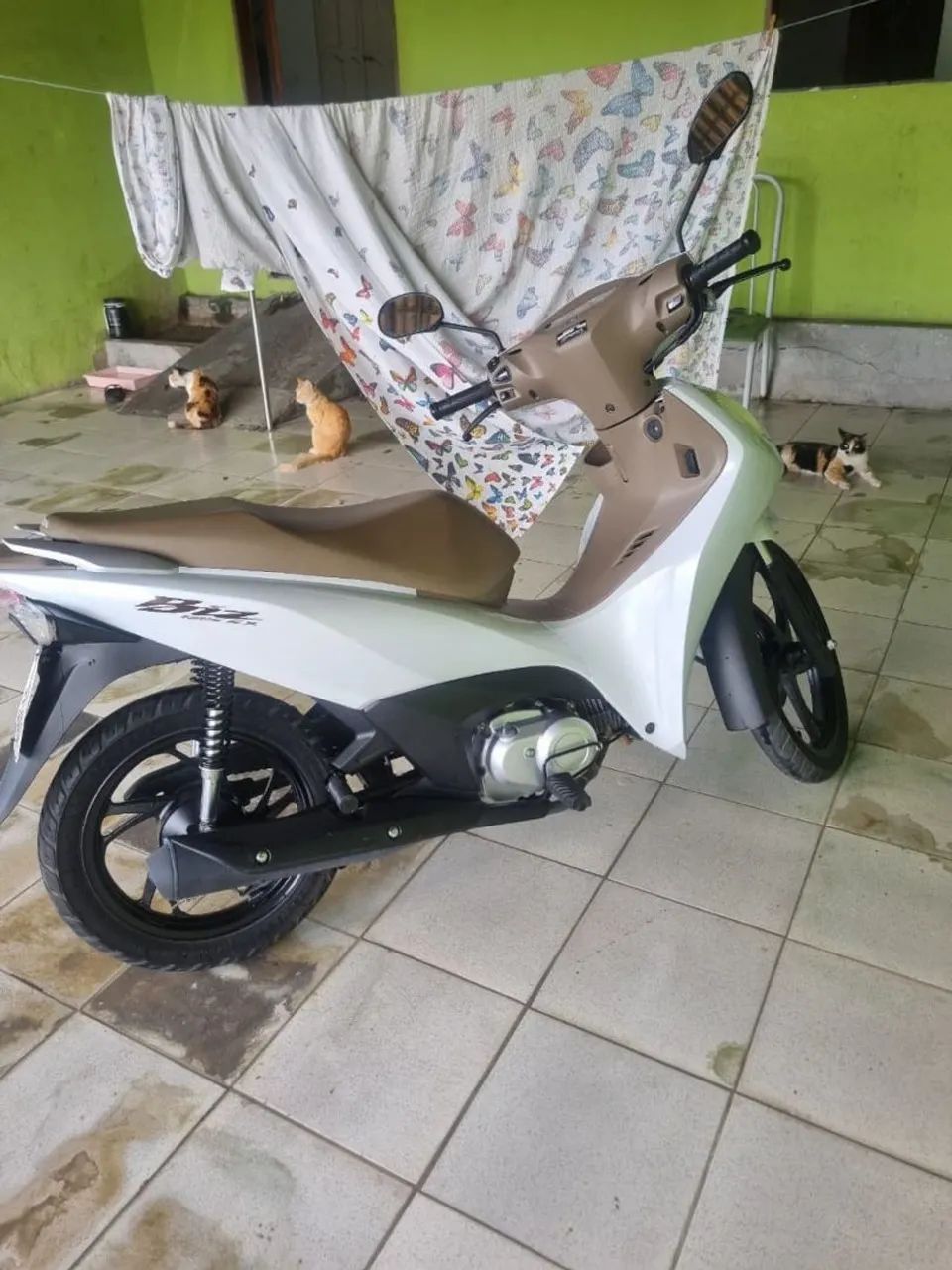 Bis flex 125 - Foto 4