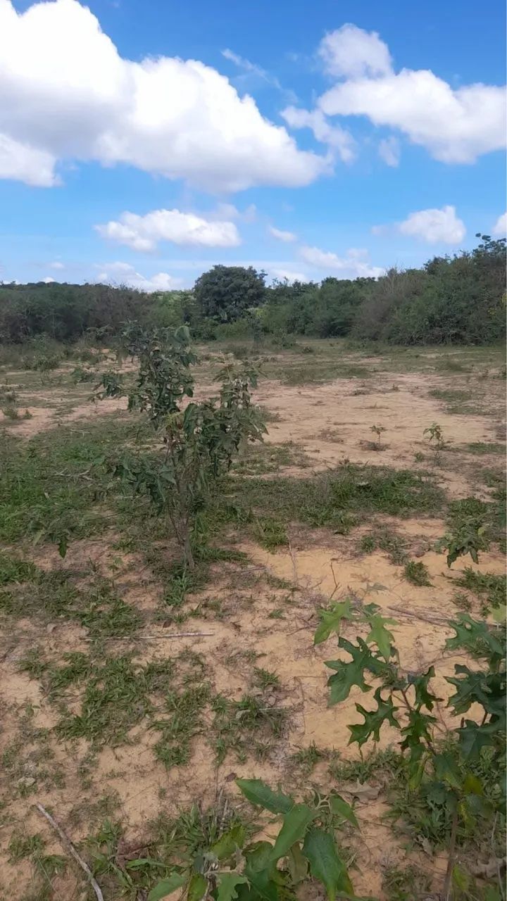 Vendo 2 terrenos 25.000 cada  - Foto 5