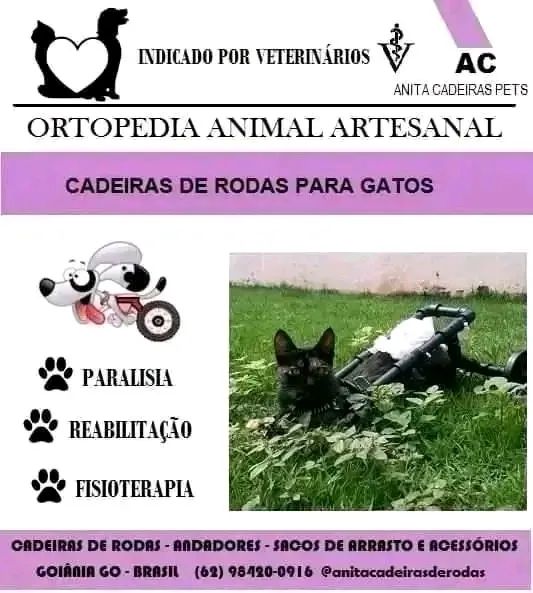 Cadeiras de rodas para cães e gatos  - Foto 2