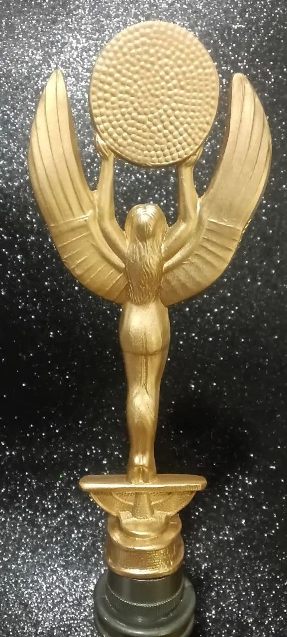 Troféu Honra ao Merito 40cm com base de 10cm - Foto 5