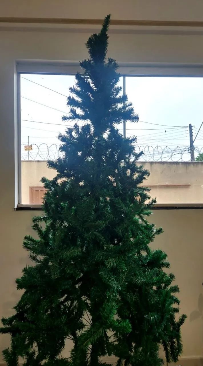 Árvore de Natal 
