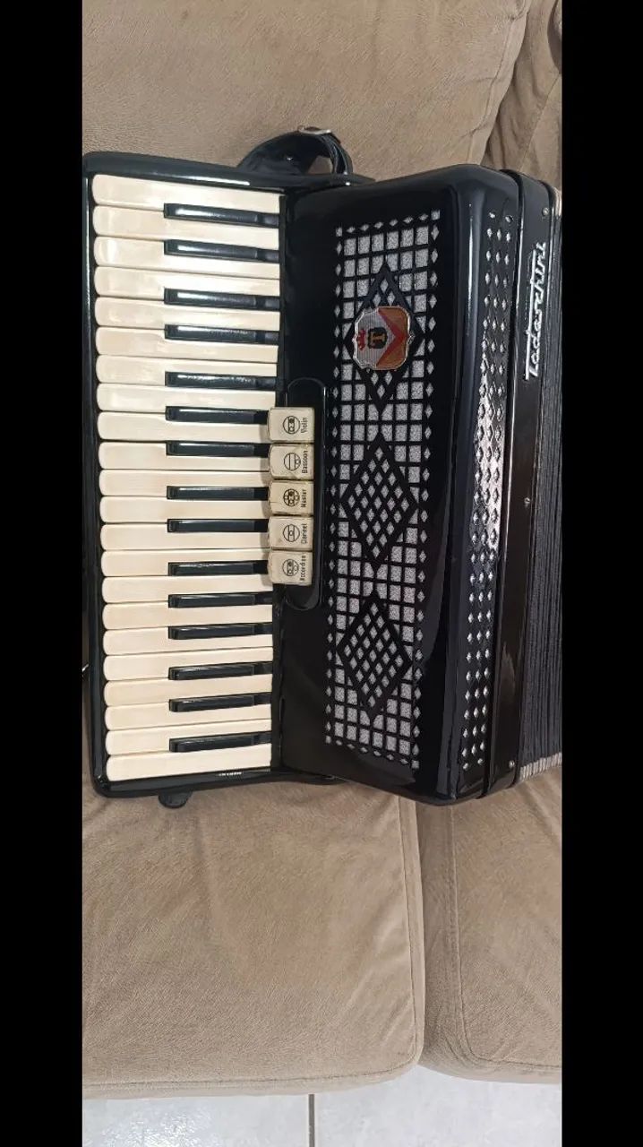 Sanfona, acordeon 