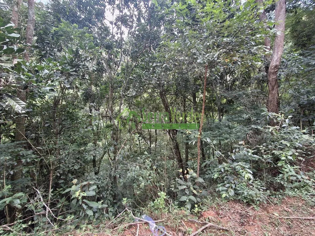 AREAL - AMPLO TERRENO COM APROXIMADAMENTE 76.000M² - Foto 2