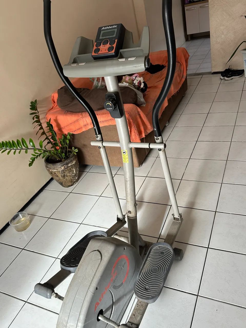 Eliptio - Foto 2