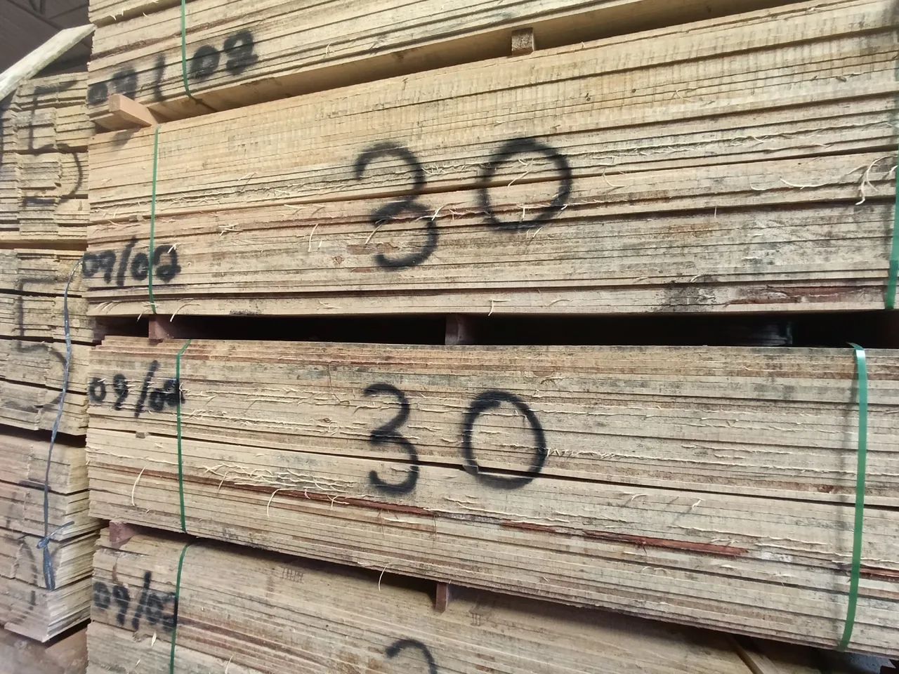 Tábuas de Pinus  - Foto 2