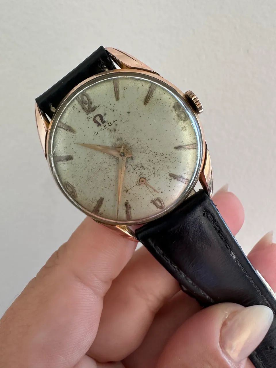 Omega Argentino  - Foto 4