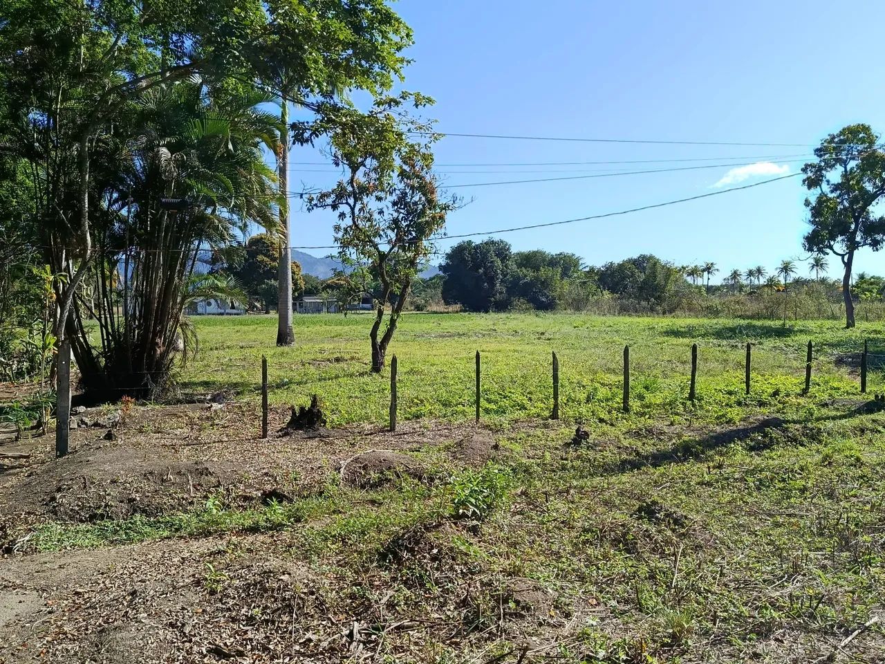 Área rural 101500 M2 Chaperó  - Foto 3