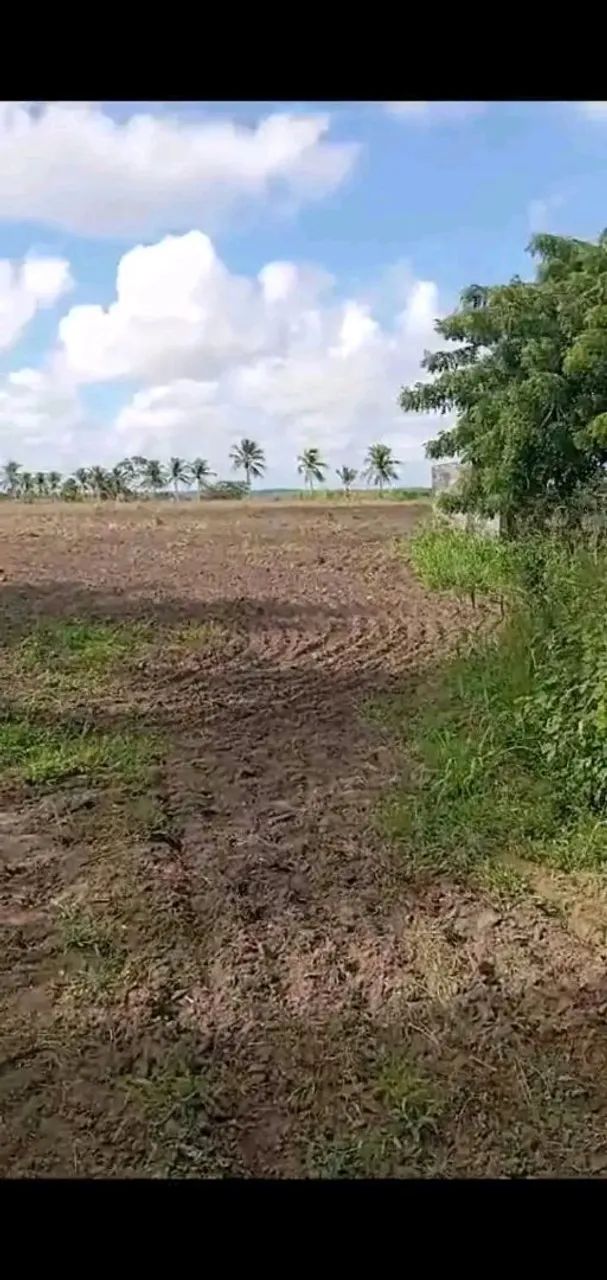 Sitio em pedrinhas Sergipe no povoado bela vista  - Foto 5