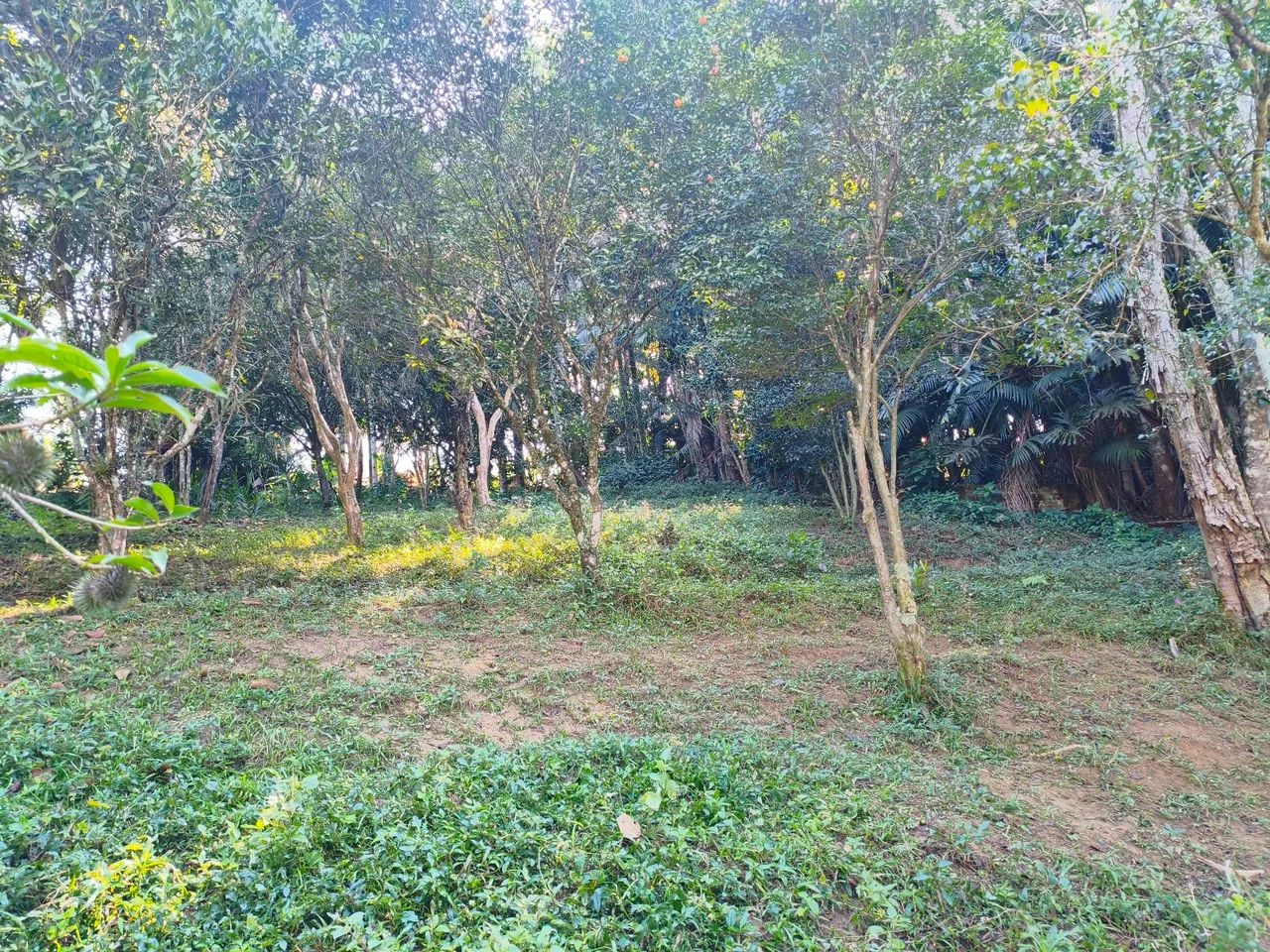 Vendo chácara Parque Miami - Foto 4