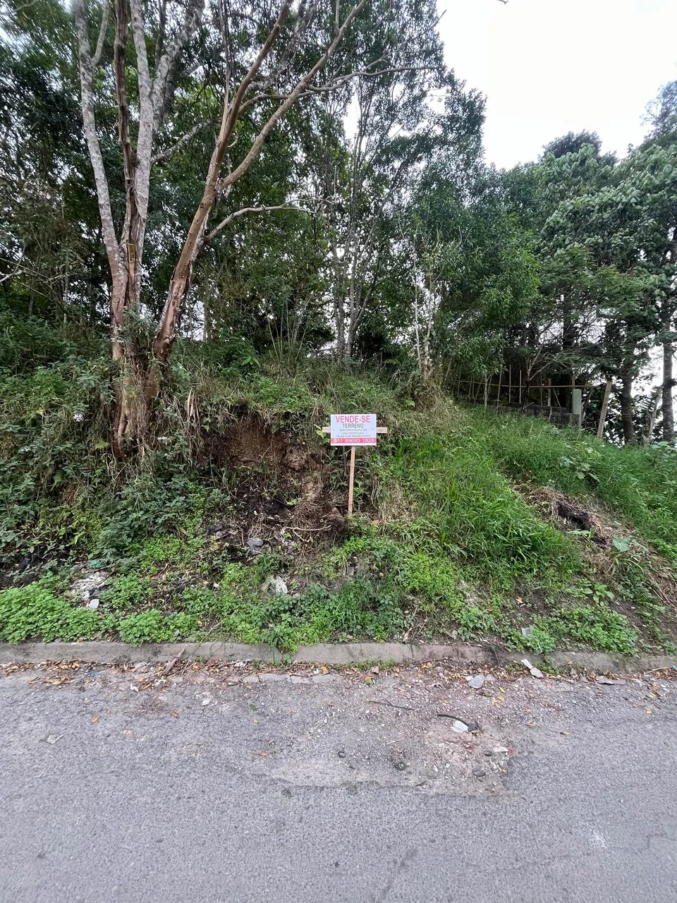 Terreno com escritura  - Foto 2