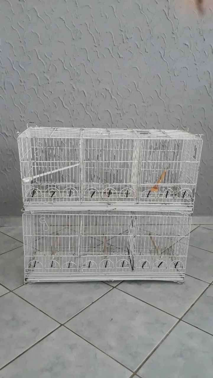 Comedouros  - Foto 2