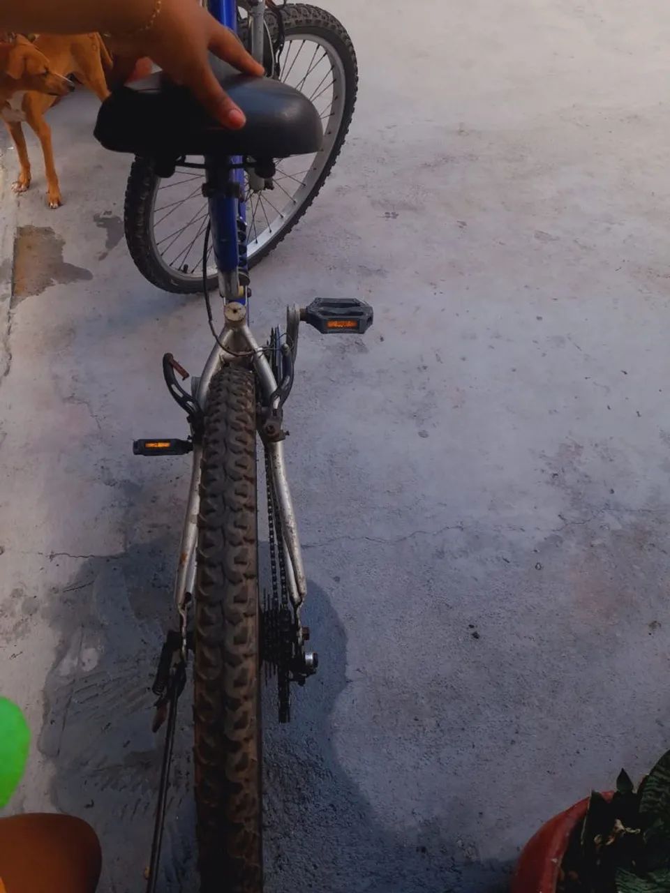 Bicicleta 