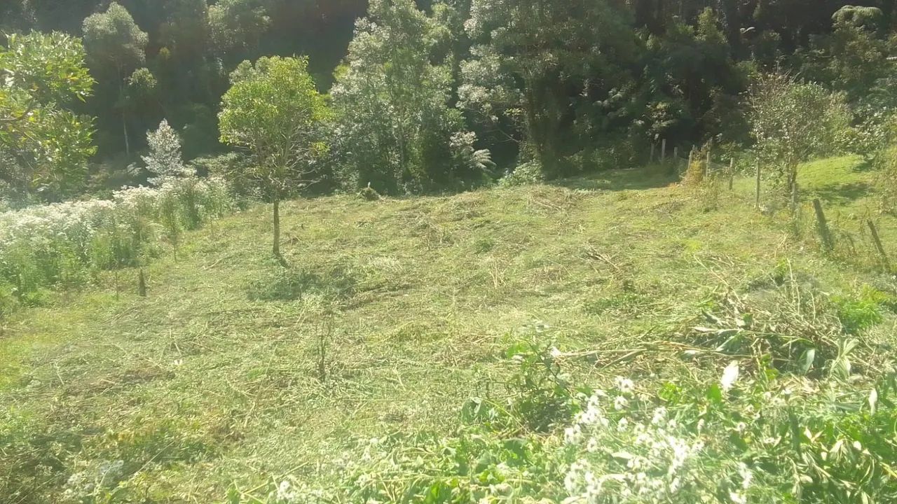 TERRENO/ SÍTIO À VENDA EM ANITÁPOLIS/SC  - Foto 4