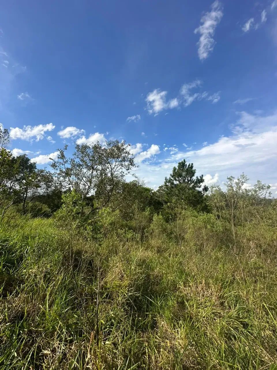 Lotes com Fundo para Mata em Mairinque | Poucas Unidades - Foto 2