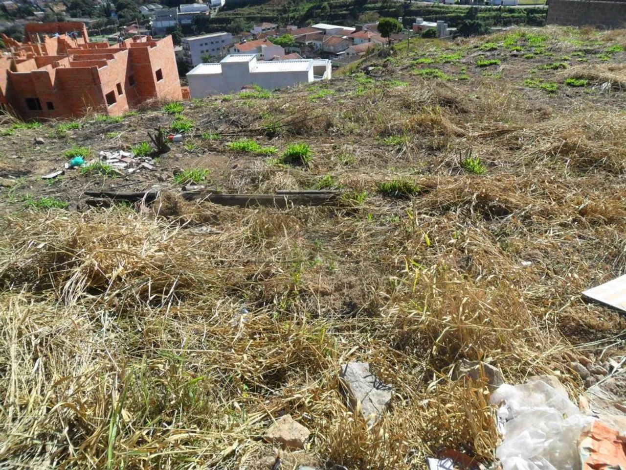 Terrenos Padrão em Poços de Caldas - Foto 3