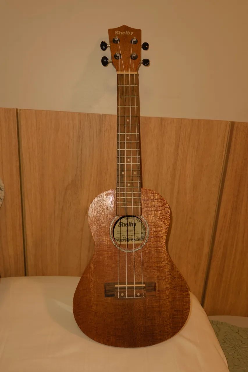 Ukulele (concert)  - Foto 2