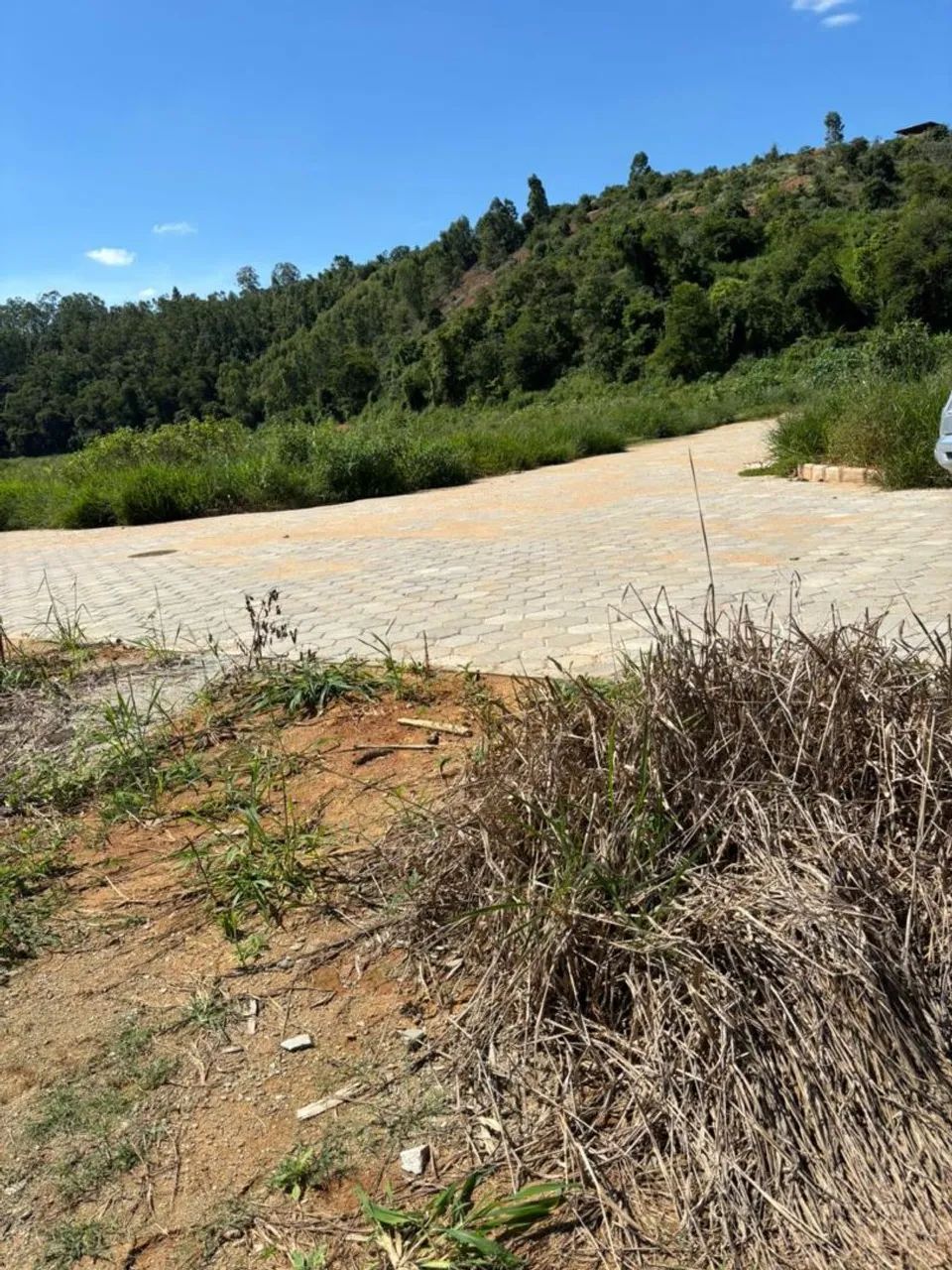 Lote Reserva Ecopark - Foto 5