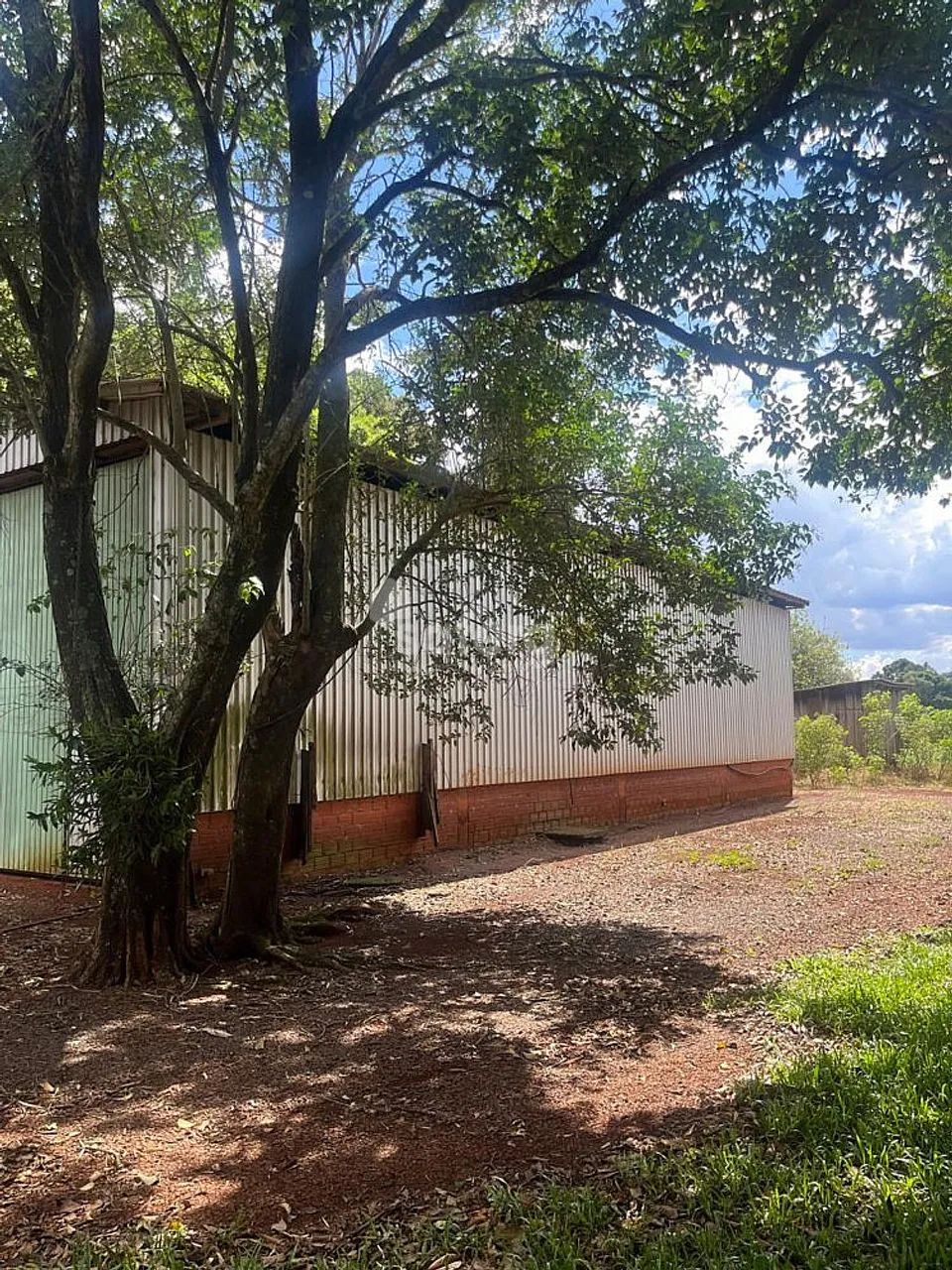 Chácara em Sede Alvorada - Foto 5