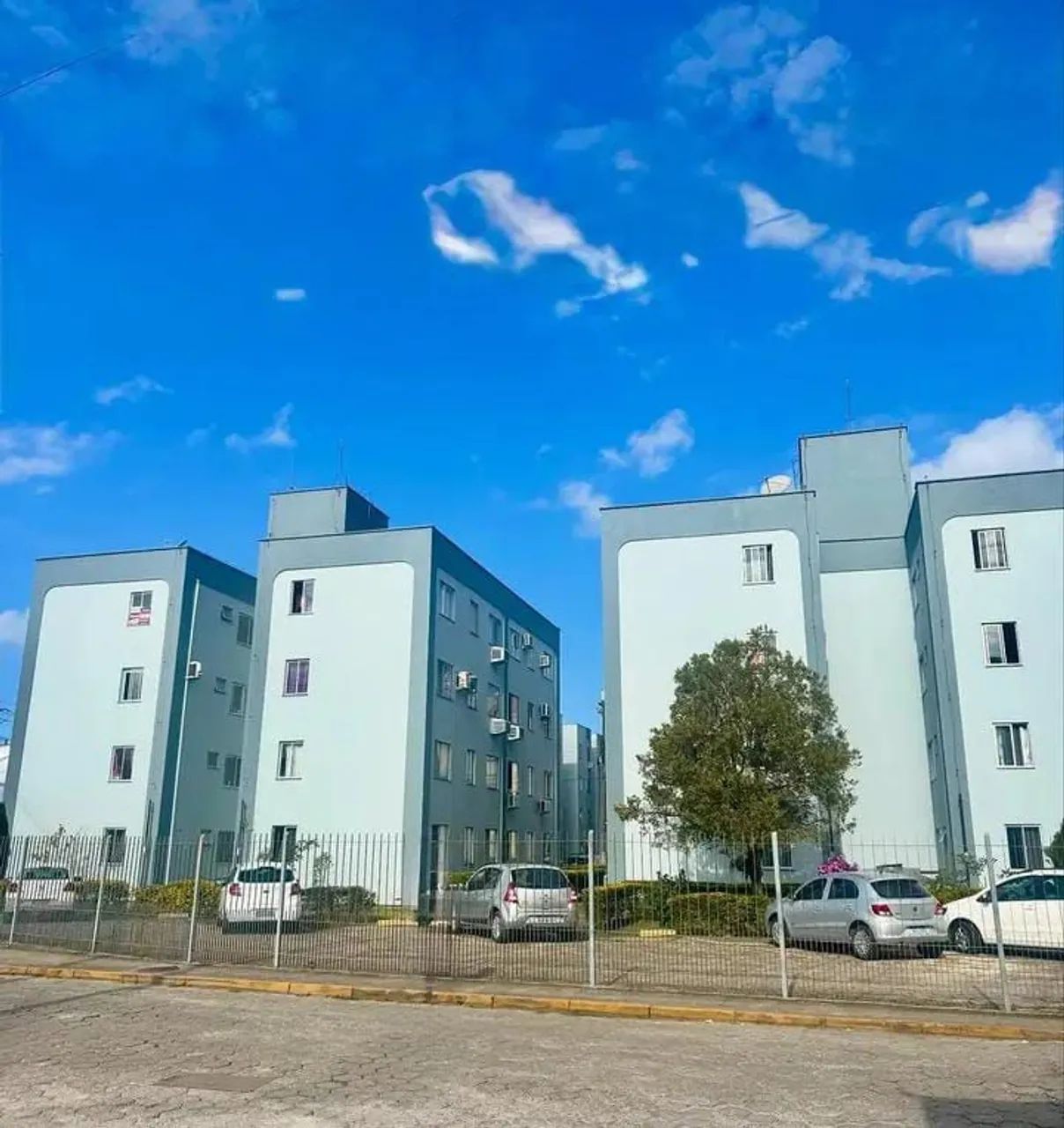 Foto - Biguaçu - Universitário