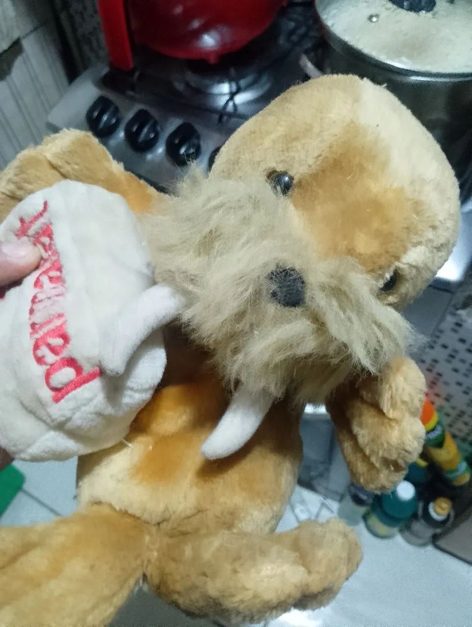 Leão matinho de pelucia