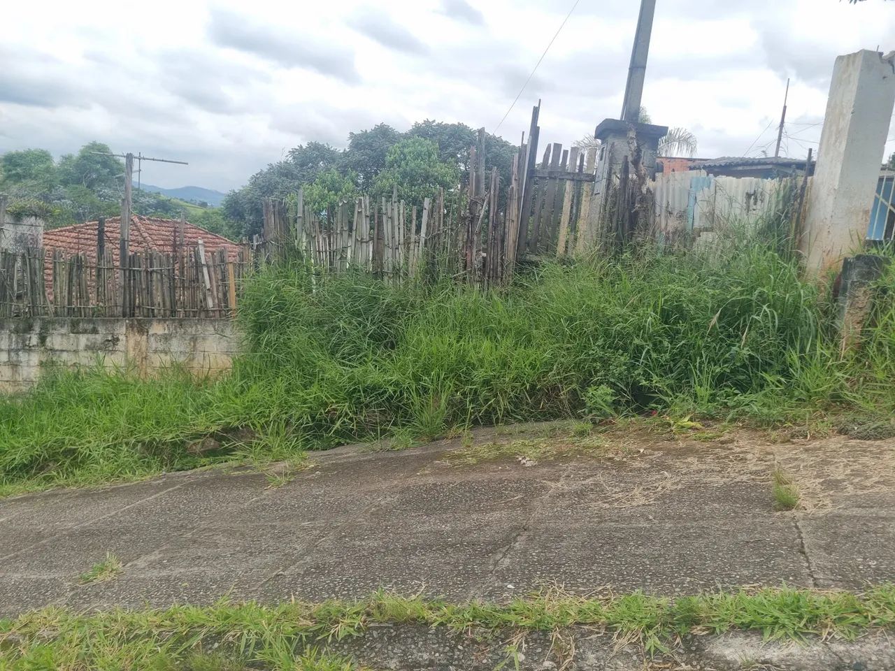 Foto - Arujá - Parque dos Jacarandás