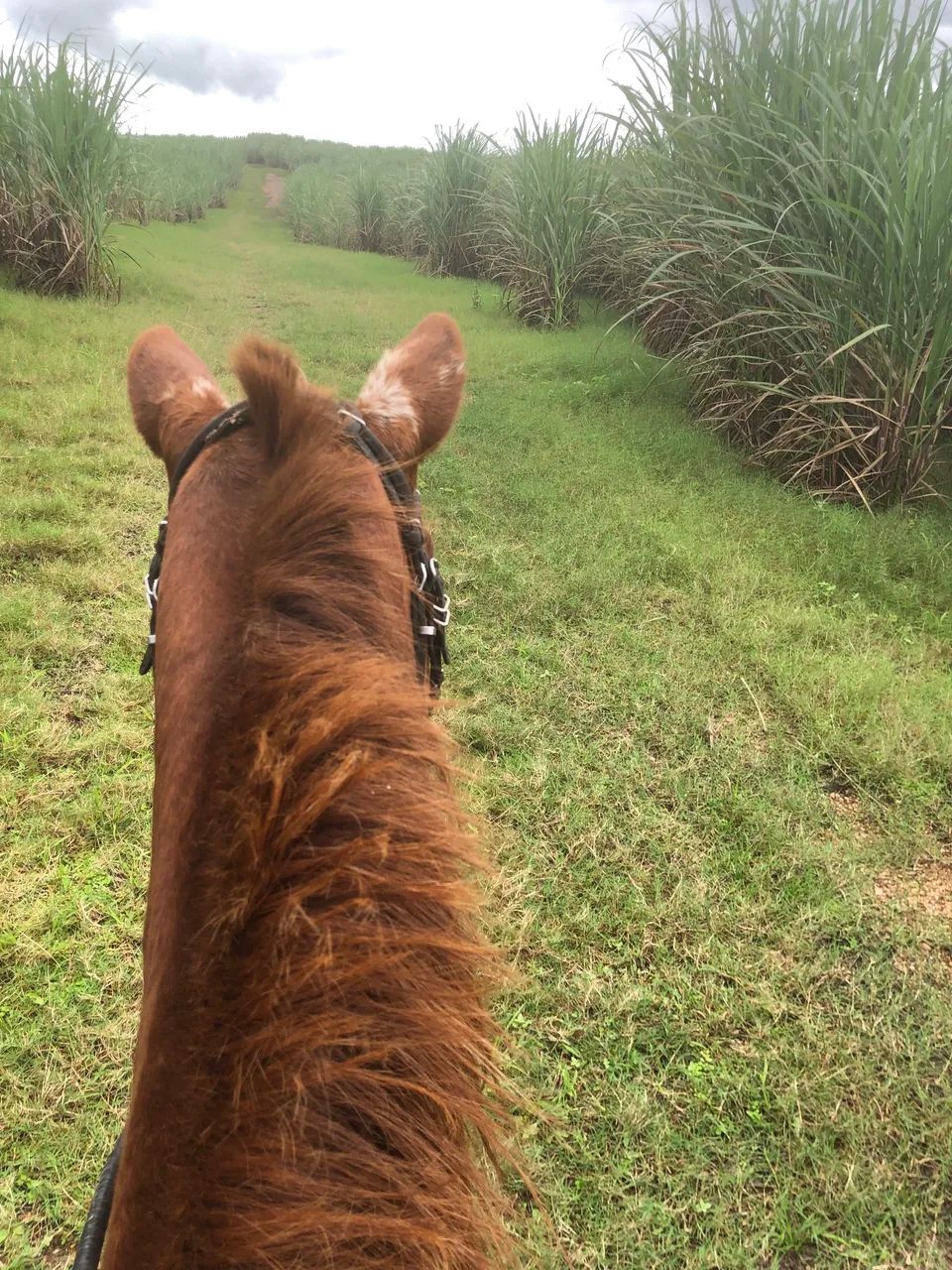 vendo ou troco  - Foto 3