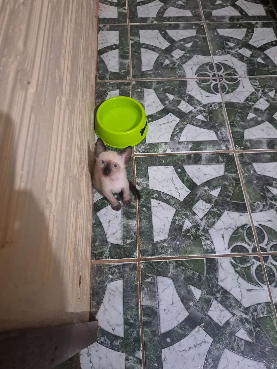 Doação  - Foto 2