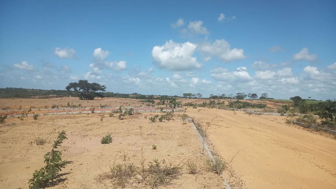 Vendo terrenos no alto de Paripueira, parcelados em  90 meses. - Foto 5