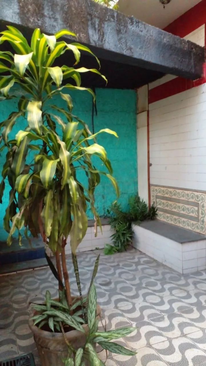 Alugou loja no bairro Nova Granada 