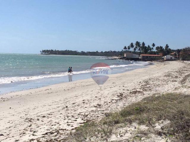 Casa residencial à venda, Enseada dos Golfinhos, Ilha de Itamaracá. - Foto 5