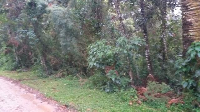 Terreno em Campos do Jordão - Foto 3