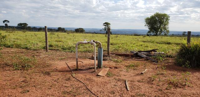 Fazenda 785 ha Pecuária R$ 9.420 milhões 67 km Campo Grande MS - Foto 2