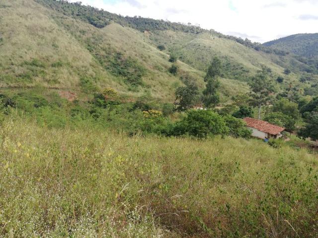 Fazenda com 127 hectares em Baixo Guandu - Foto 2