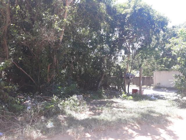 \Terreno no Bairro de Tucuns em Búzios/RJ - Foto 4