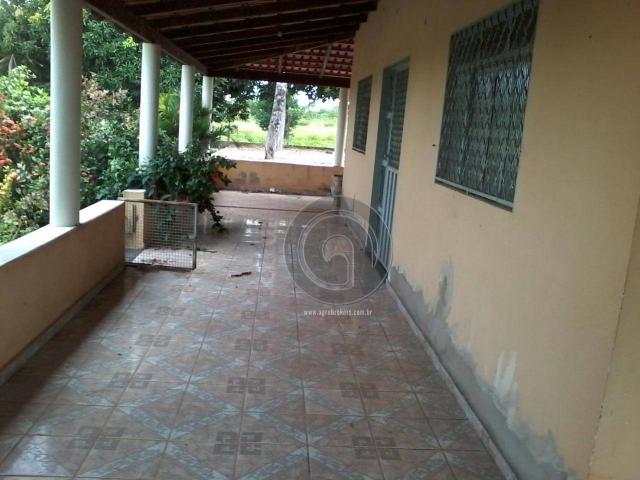 Sitio no cinturão verde - Foto 8