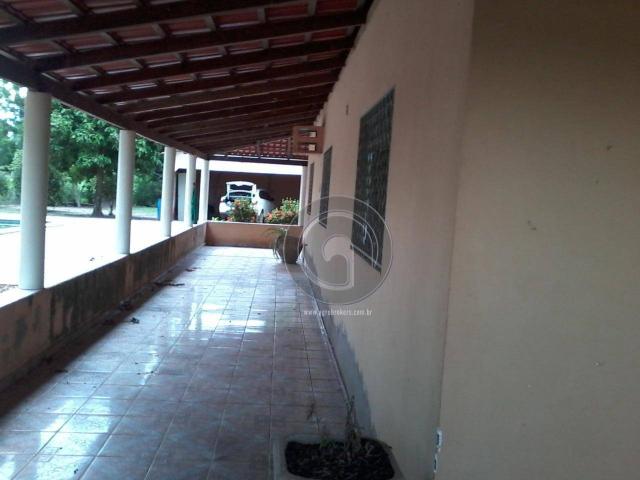 Sitio no cinturão verde - Foto 12